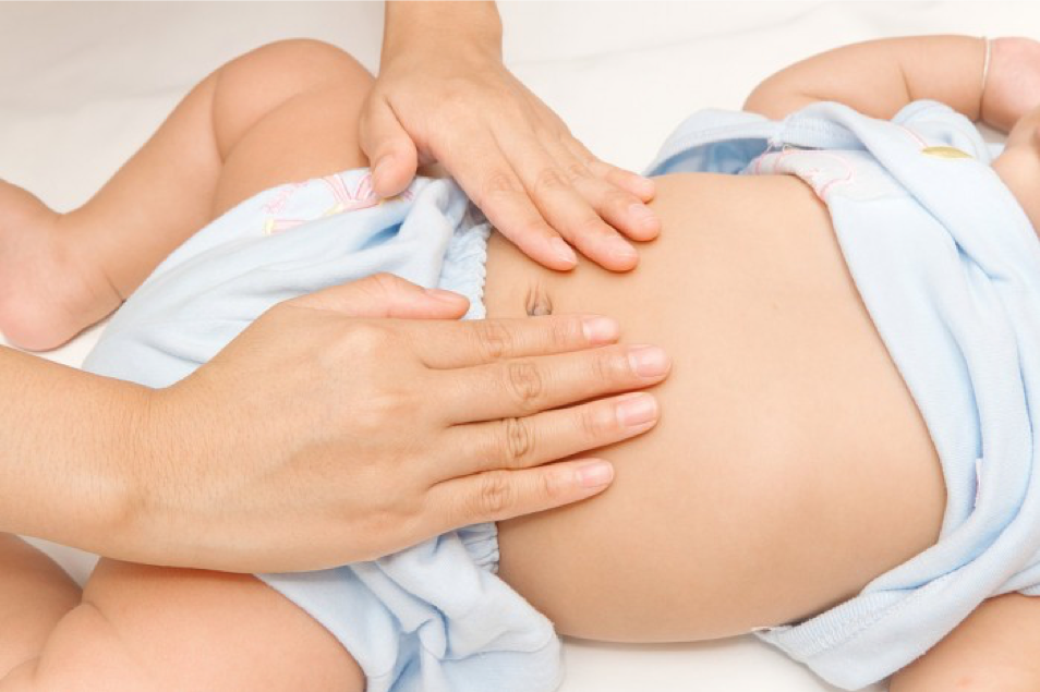 Hệ tiêu hóa chưa hoàn thiện