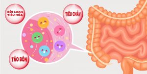 Hệ tiêu hóa còn non nớt