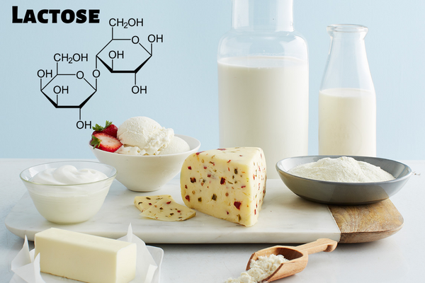 Lactose trong sữa