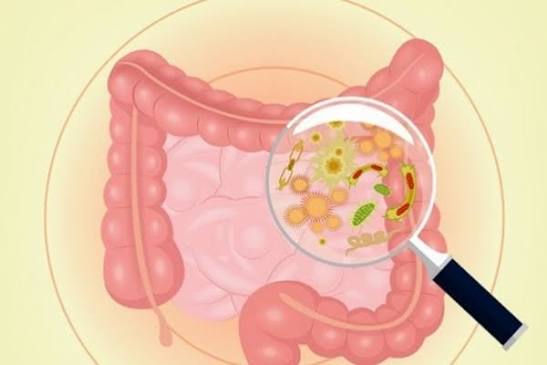 Nhiễm virus hoặc vi khuẩn đường ruột