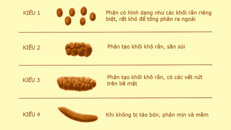 Phân trở nên khô cứng