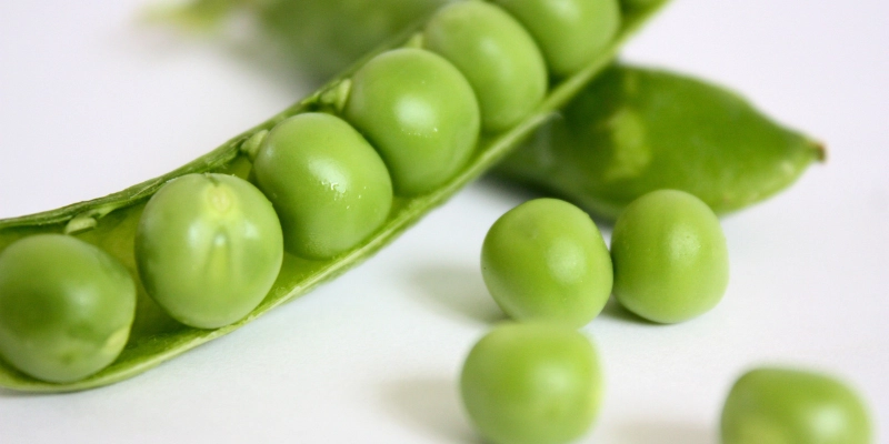 dau-ha-lan-la-mot-lua-chon-tuyet-voi-de-bo-sung-sat-non-heme