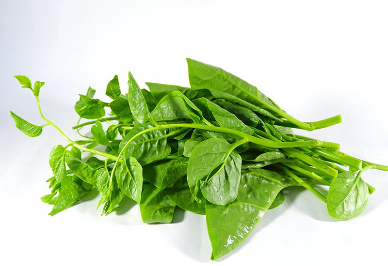 Rau mồng tơi giúp trị táo bón ở trẻ