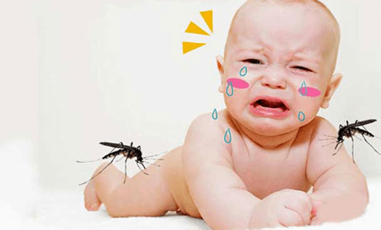 sốt xuất huyết ở trẻ em