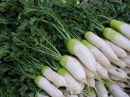 Giá trị dinh dưỡng của củ cải