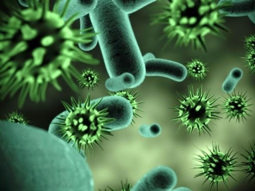 Virus sởi là tác nhân gây bệnh