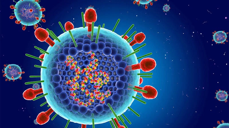 Virus hợp bào hô hấp (RSV - Respiratory Syncytial Virus)